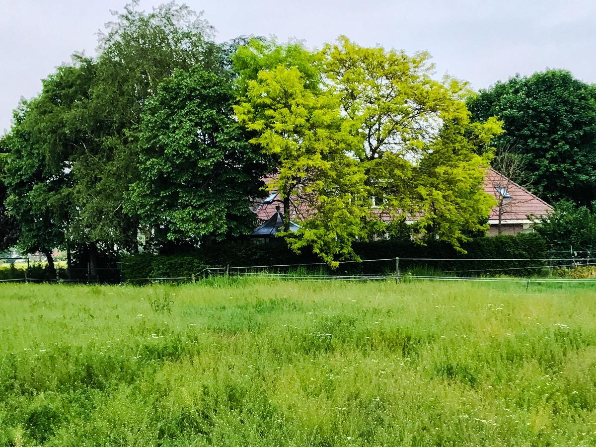 Boerderij Zonneveld Villa Rossum  Eksteriør billede